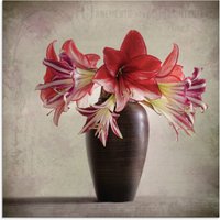 Artland Glasbild "Amaryllis Vintage II", Blumen, (1 St.) von Artland