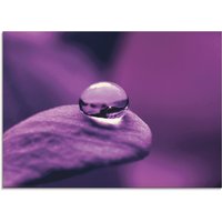 Artland Glasbild "Amethyst", Blumen, (1 St.) von Artland