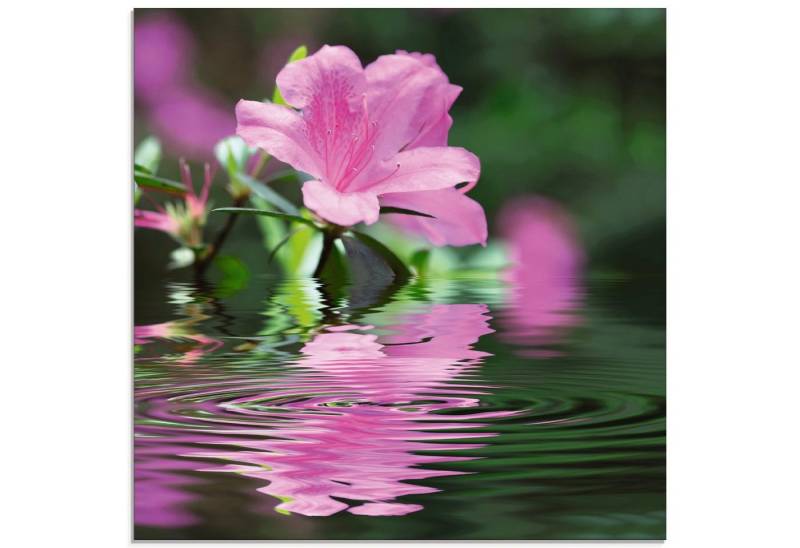 Artland Glasbild Azalee, Blumen (1 St), in verschiedenen Größen von Artland