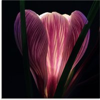 Artland Glasbild "Beleuchtet", Blumen, (1 St.) von Artland