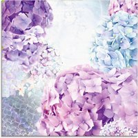 Artland Glasbild "Blau und Pink Hortensie", Blumen, (1 St.) von Artland