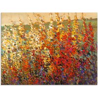 Artland Glasbild "Feld mit Herbstblumen I", Blumenwiese, (1 St.) von Artland