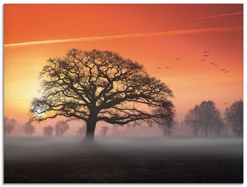 Artland Glasbild Filigran und mehr..., Bäume (1 St), in verschiedenen Größen von Artland