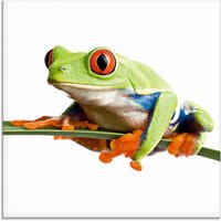 Artland Glasbild "Frosch auf einem Blatt", Wassertiere, (1 St.) von Artland