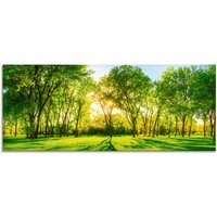Artland Glasbild "Frühlingswärme II" Wiesen & Bäume 1 Stk. tlg. in verschiedenen Größen von Artland