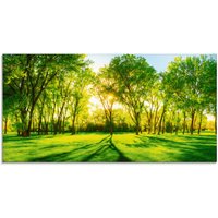 Artland Glasbild "Frühlingswärme II" Wiesen & Bäume 1 Stk. tlg. in verschiedenen Größen von Artland