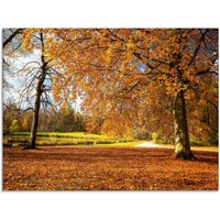 Artland Glasbild "Herbst bei Schlosses Nymphenburg", Wiesen & Bäume, (1 St.) von Artland