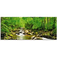 Artland Glasbild "Herbstwald Fluss Smolny" Wald 1 Stk. tlg. in verschiedenen Größen von Artland