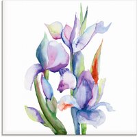 Artland Glasbild "Iris", Blumen, (1 St.) von Artland