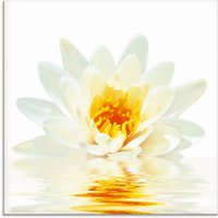 Artland Glasbild "Lotusblume schwimmt im Wasser", Blumen, (1 St.) von Artland