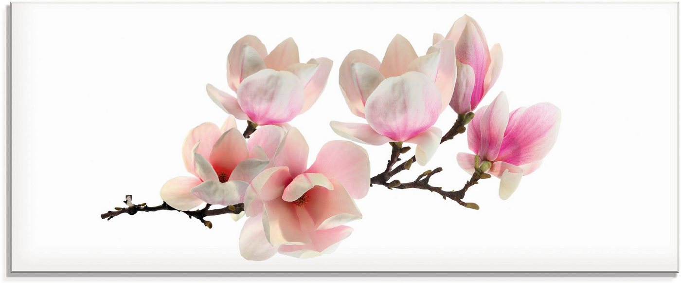 Artland Glasbild Magnolie, Blumen (1 St), in verschiedenen Größen von Artland