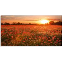 Artland Glasbild "Mohnblumenfeld bei Sonnenuntergang", Blumen, (1 St.) von Artland
