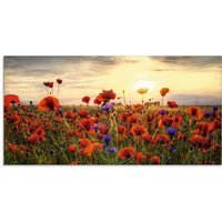Artland Glasbild "Mohnblumen", Blumen, (1 St.) von Artland
