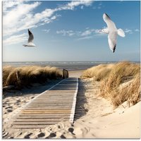 Artland Glasbild "Nordseestrand auf Langeoog mit Möwen", Strand, (1 St.) von Artland