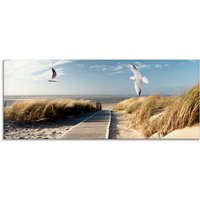 Artland Glasbild "Nordseestrand auf Langeoog mit Möwen", Strand, (1 St.) von Artland