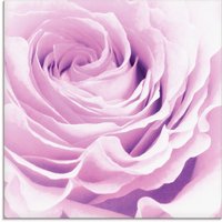 Artland Glasbild "Pastell Rose", Blumen, (1 St.) von Artland