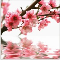 Artland Glasbild "Pfirsichblüten reflektieren im Wasser", Blumen, (1 St.) von Artland