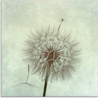 Artland Glasbild "Pusteblume II", Blumen, (1 St.) von Artland