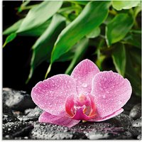 Artland Glasbild "Rosa Orchidee auf schwarzen Zen Steinen", Blumen, (1 St.), in verschiedenen Größen von Artland
