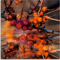 Artland Glasbild "Rote Beeren - Wildbeeren", Pflanzen, (1 St.) von Artland