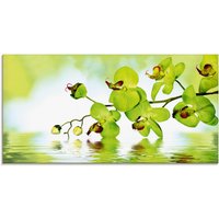 Artland Glasbild "Schöne Orchidee mit grünem Hintergrund", Blumen, (1 St.) von Artland