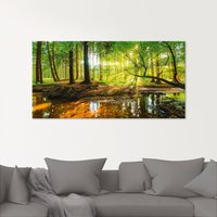 Artland Glasbild "Wald mit Bach", Wald, (1 St.), in verschiedenen Größen von Artland