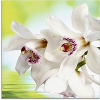 Artland Glasbild "Weiße Orchidee", Blumen, (1 St.) von Artland