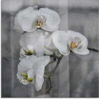 Artland Glasbild "Weisse Orchideen - white Orchid", Blumen, (1 St.) von Artland