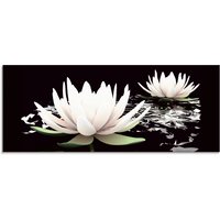 Artland Glasbild "Zwei Lotusblumen auf dem Wasser", Blumen, (1 St.) von Artland