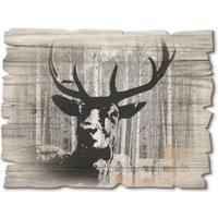 Artland Holzbild "Hirsch Collage", Wildtiere, (1 St.) von Artland