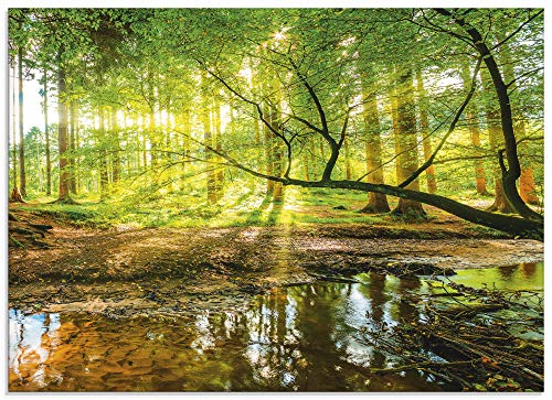 ARTLAND Küchenrückwand Glas mit Motiv Spritzschutz 70x50 cm Wald Natur Bäume Landschaft Sonne Sonnenuntergang Bach Grün T9IO von ARTLAND