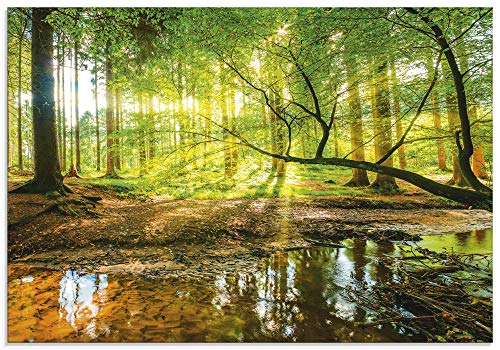 ARTLAND Küchenrückwand Glas mit Motiv Spritzschutz 80x55 cm Wald Natur Bäume Landschaft Sonne Sonnenuntergang Bach Grün T9IO von ARTLAND