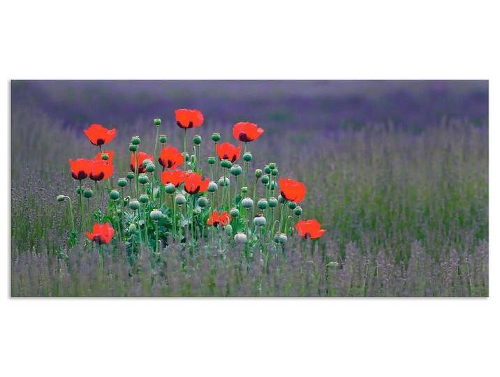 Artland Küchenrückwand Lavendelfarm in Sequim - Mohnblumen, (1-tlg), Alu Spritzschutz mit Klebeband, einfache Montage, lila von Artland