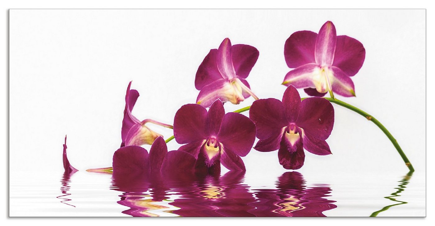 Artland Küchenrückwand Phalaenopsis Orchidee, (1-tlg), Alu Spritzschutz mit Klebeband, einfache Montage von Artland