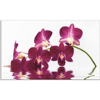 Artland Küchenrückwand "Phalaenopsis Orchidee", (1 tlg.), Alu Spritzschutz mit Klebeband, einfache Montage von Artland