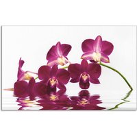 Artland Küchenrückwand "Phalaenopsis Orchidee", (1 tlg.) von Artland
