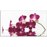 Artland Küchenrückwand "Phalaenopsis Orchidee", (1 tlg.), Alu Spritzschutz mit Klebeband, einfache Montage von Artland