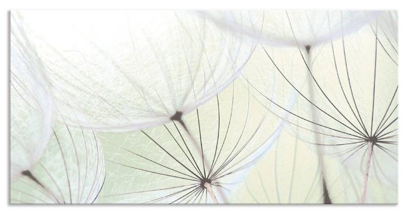 Artland Küchenrückwand Pusteblumen-Samen aufgehellt, (1-tlg), Alu Spritzschutz mit Klebeband, einfache Montage von Artland