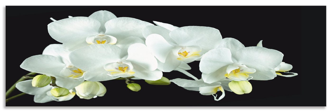 Artland Küchenrückwand Weiße Orchidee auf schwarzem Hintergrund, (1-tlg), Alu Spritzschutz mit Klebeband, einfache Montage von Artland