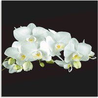 Artland Küchenrückwand "Weiße Orchidee auf schwarzem Hintergrund", (1 tlg.), Alu Spritzschutz mit Klebeband, einfache Montage von Artland