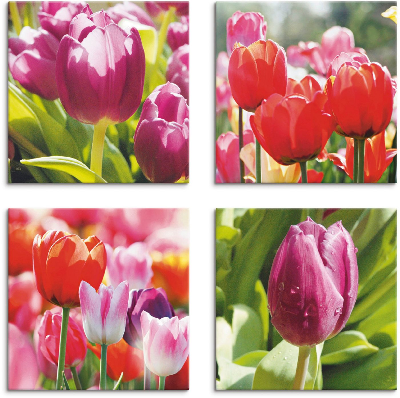 Artland Leinwandbild Frühling und Tulpen, Blumen (4 St), 4er Set, verschiedene Größen von Artland