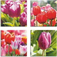 Artland Leinwandbild "Frühling und Tulpen", Blumen, (4 St.) von Artland