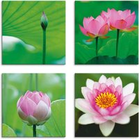 Artland Leinwandbild "Lotusblumen Motive", Blumen, (4 St.) von Artland