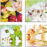 Artland Leinwandbild "Orchideen Blumen", Blumen, (4 St.) von Artland