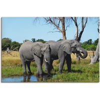 Artland Wandbild "Afrikanische Elefanten", Wildtiere, (1 St.) von Artland