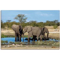 Artland Wandbild "Afrikanischer Elefant EtoshaNationalpark", Elefanten Bilder, (1 St.) von Artland