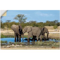 Artland Wandbild "Afrikanischer Elefant EtoshaNationalpark", Elefanten Bilder, (1 St.) von Artland