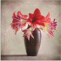 Artland Wandbild "Amaryllis Vintage II", Blumen, (1 St.) von Artland