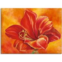 Artland Wandbild "Amaryllis", Blumen, (1 St.) von Artland