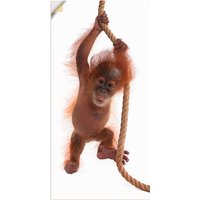 Artland Wandbild "Baby Orang Utan hängt am Seil I", Wildtiere, (1 St.) von Artland